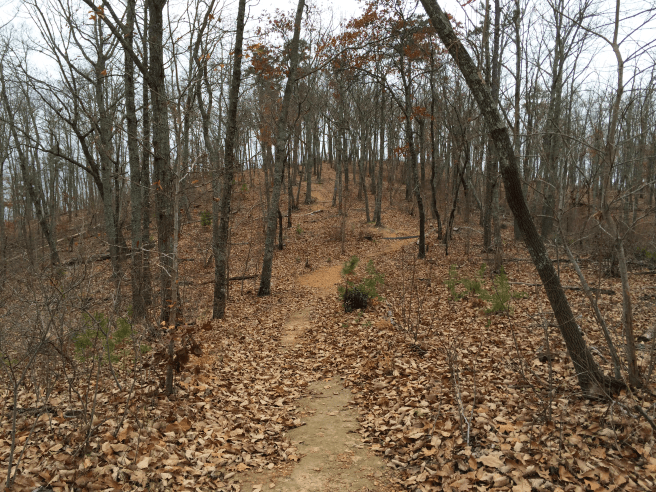 The final leg of Browns Mountain Trail King's Mountain National Military Park