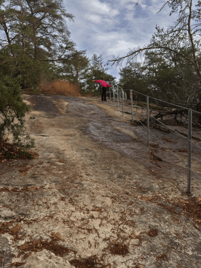 Rocky Face Mountain Area with my hiking buddy. Hiddenite, NC