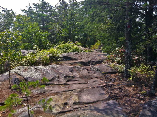 Hiking the Rock Top Trail. Not for the faint of heart! Crowder's Mountain State Park