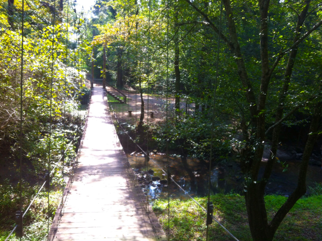 Suspension Bridge Anne Springs Close Greenway, Charlotte, NC